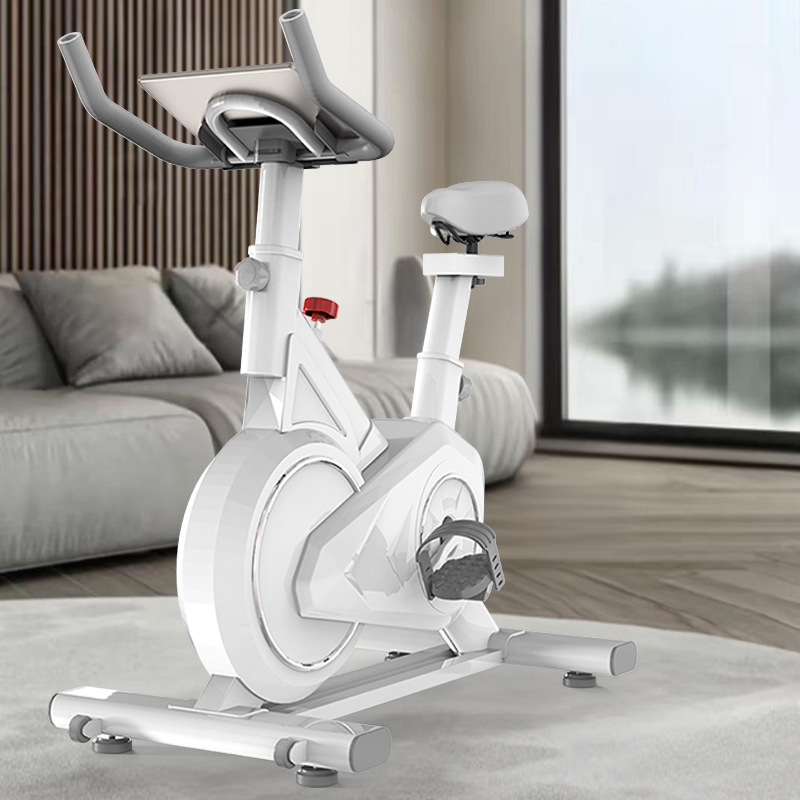 Intelligente Spinning Bike Hom - Exercise Bike Magnetic Resistance recensie en prijs